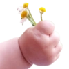 TANGAN BAYI  5