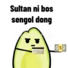 Petir 6
