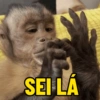 MACACOS 🙈 (COM TEXTO) 13