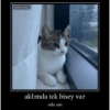 MOODUMPAT aklımda tek bisey oda sen