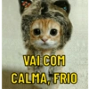 VAI COM CALMA, FRIO
