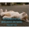 Nao 9
