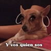 Y vos quien sos