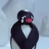 Pingu. | @ocenferios  Haki. 12