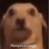 😎 STICKERS SHITPOST 16 🤙 15