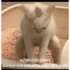 echándole ganas
porque con esfuerzo todo se puede