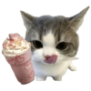 Cat meme makanan 🐈 12