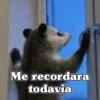 🧿 Tlacuache/ zariguella🦡 21