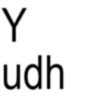 Y udh