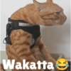 Cukurukuk Bakekok Meme 10