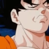 Goku  13