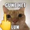 Meme kucing core 🐈 12