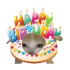 Feliz Aniversário 🎉 27