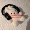 😎 STICKERS SHITPOST 16 🤙 9