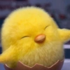💛🐥Pollitos bonitos🐥💛 6