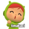 3 timakaci