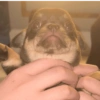 Ariana what are you doing here  6