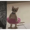 Eu vi no TikTok  9