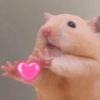 ANIMALITOS 🥺☀️ 19