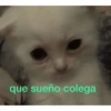 Memes xd 18