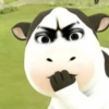 Sapi tiktok filter cow 🐮 9