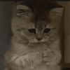 Sad🥲 15