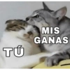 TÚ MIS GANAS