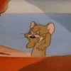 JERRY - TOM & JERRY 15