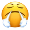 Funny Emoji iPhone 📱 11
