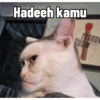 Kucing sigma trend 5