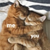 Love cats 21