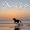 Novos shitpost atualizado 13