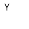 Y