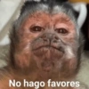 No hago favores