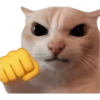 KUCING REACTION  15