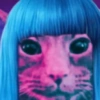 Kucing Anomali 2 14