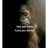 feliz por triste fuera por dentro
