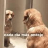 cada día más pndejo