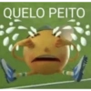 QUELO PEITO
