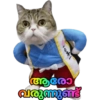 കാങ്കോൽ അഷ്‌റഫ്‌ 7