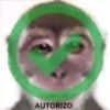 AUTORIZO