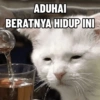 Kucing Anomali 2 9