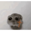 Tu gran hamsters  7