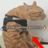 Cukurukuk Bakekok Meme 11