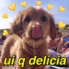 MEMES PRO FICANTE 😍❤️ 13