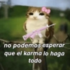 Meowl 🐱🦉 13