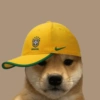 Animais Torcedores Brasil 🇧🇷 17
