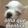 Baixa esses memes 12