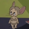 🧿Jerry 🐁🐭 14