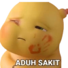 ADUH SAKIT